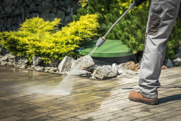 Best Winterizing Services  in Allendale, SC